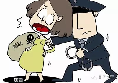 2016年初，涉縣警方查獲一起涉毒案件，鑒于該案涉案人員多、毒品交易量大，涉縣警方立即將案情上報，被公安部確立為“目標(biāo)-2016-314”號毒品案件。涉縣警方成立專案組，經(jīng)過多方追查，先后抓獲團伙人員13名，繳獲毒品5349克，并查明上線“濮姐”的真實身份為陳某。